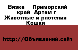 Вязка  - Приморский край, Артем г. Животные и растения » Кошки   